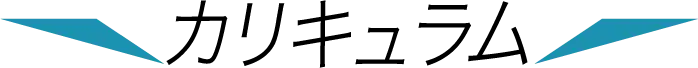 カリキュラム