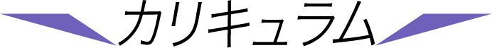 カリキュラム