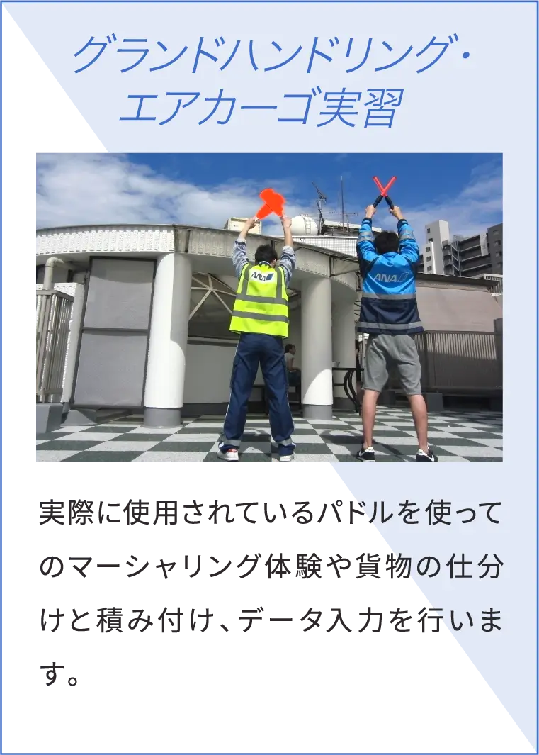 グランドハンドリング・エアカーゴ実習 実際に使用されているパドルを使ってのマーシャリング体験や貨物の仕分けと積み付け、データ入力を行います。