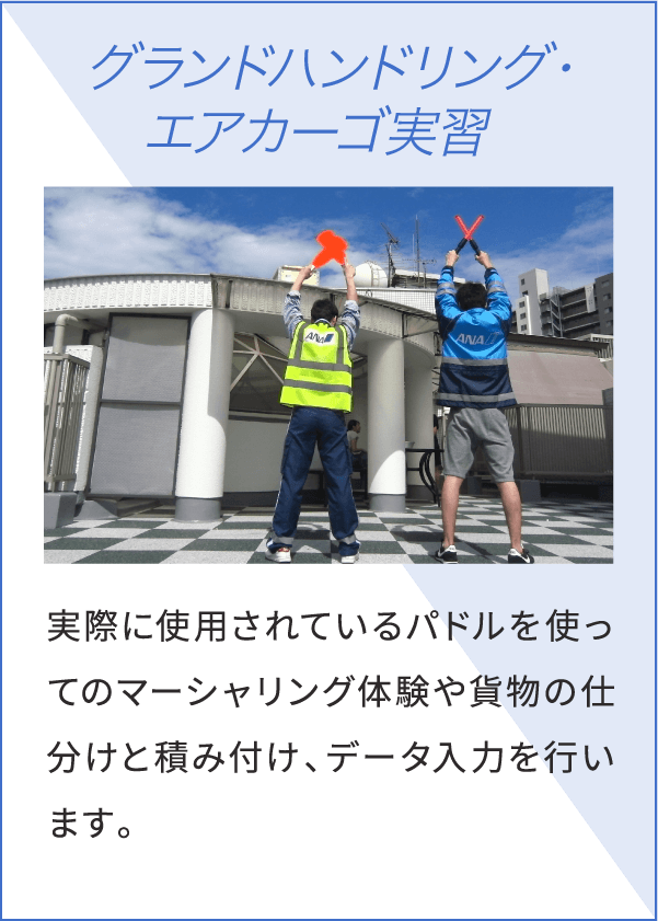 グランドハンドリング・エアカーゴ実習 実際に使用されているパドルを使ってのマーシャリング体験や貨物の仕分けと積み付け、データ入力を行います。