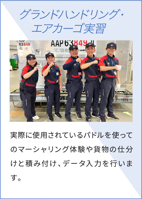 グランドハンドリング・エアカーゴ実習 実際に使用されているパドルを使ってのマーシャリング体験や貨物の仕分けと積み付け、データ入力を行います。