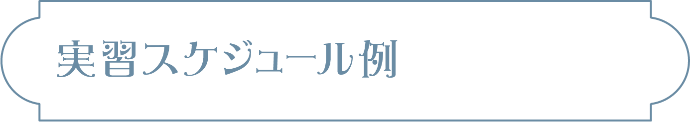 実習スケジュール例