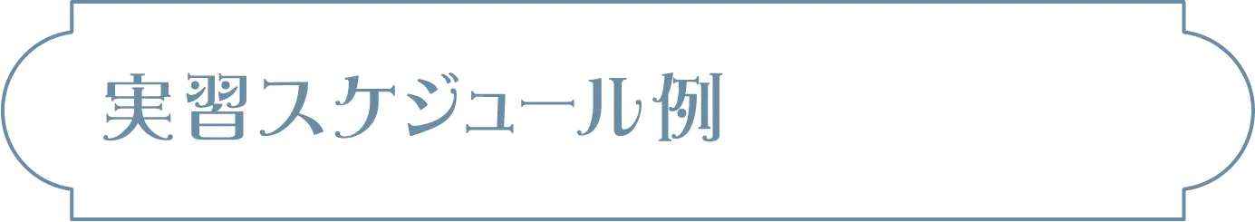 実習スケジュール例