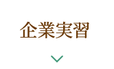 企業実習