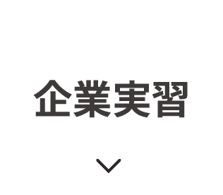 企業実習