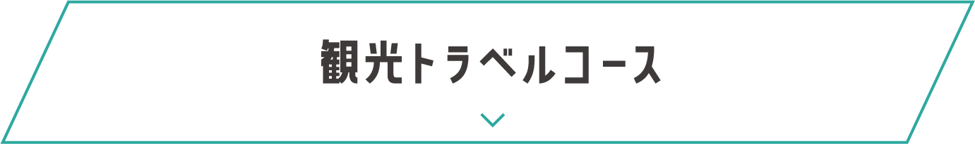 観光トラベルコース