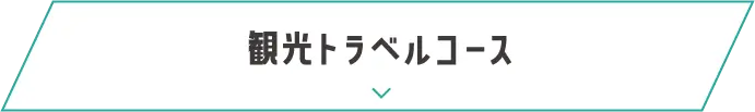観光トラベルコース